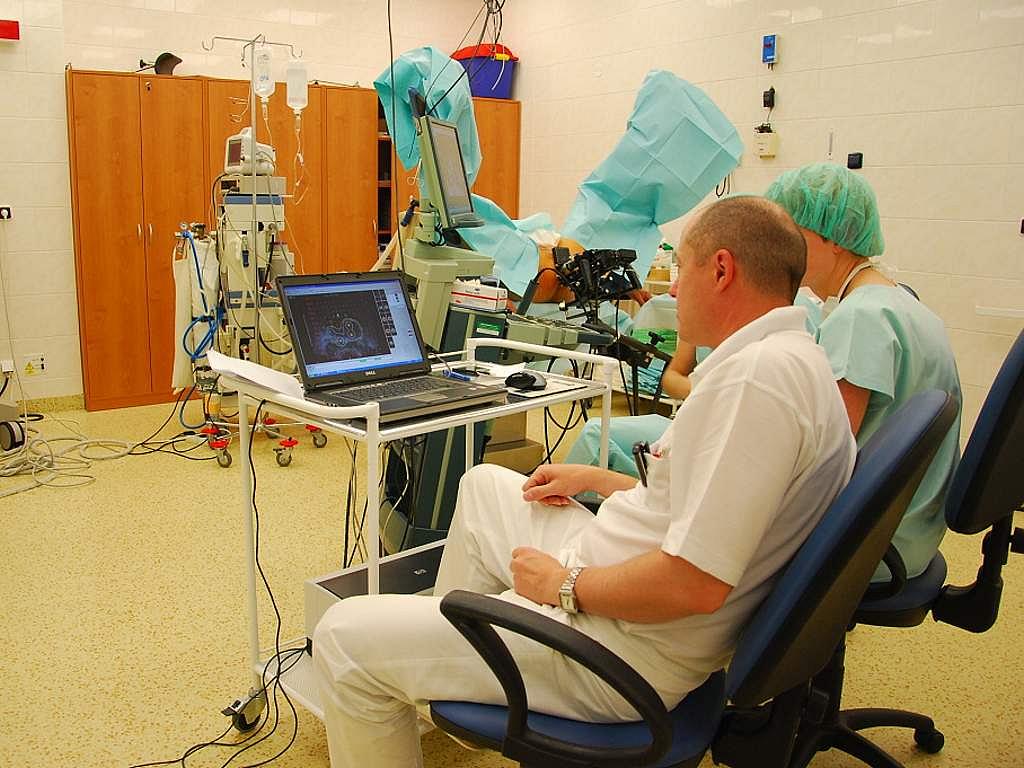 Rădăcina de brusture ca remediu pentru prostatită