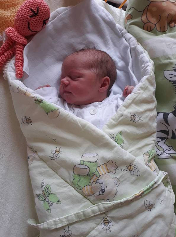 Viktorie Konečná, 19.6.2019,3260g,50cm,Tichá, Nemocnice Nový Jičín