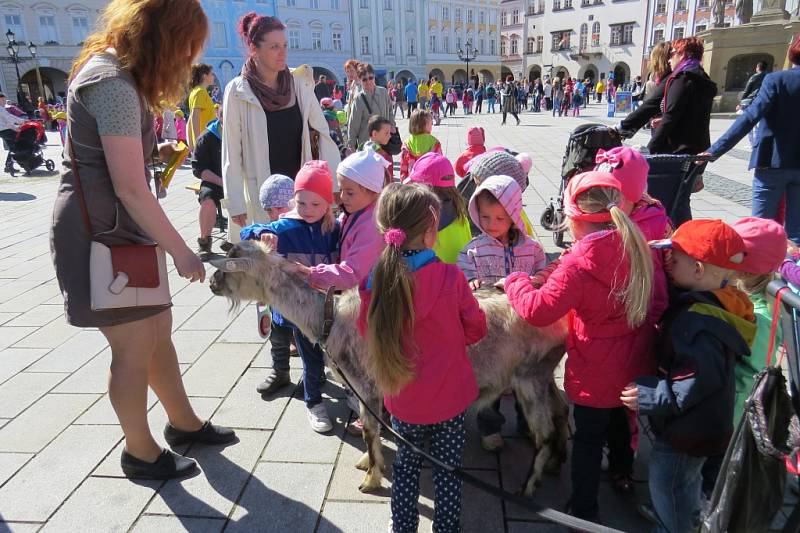 Oslavy Dne Země v Novém Jičíně na Masarykově náměstí. 