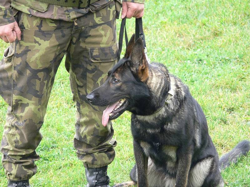 Nejlepší přebor vojenských psovodů za posledních dvacet let probíhal v Hostašovicích a jeho okolí celý tento týden.