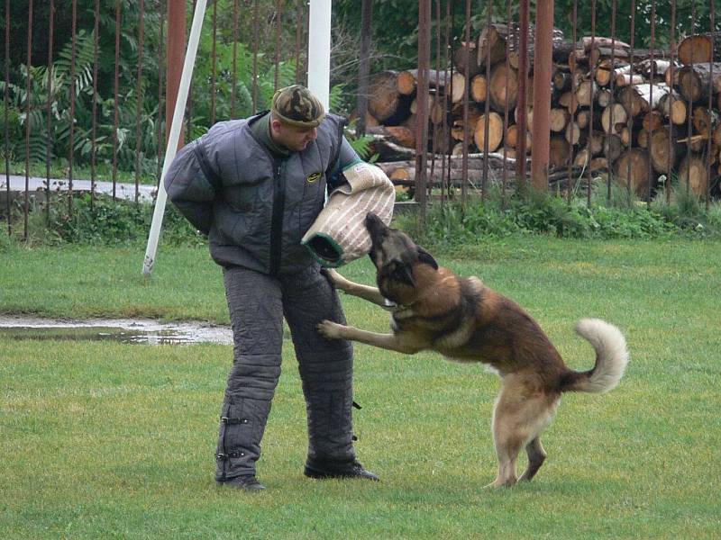 Nejlepší přebor vojenských psovodů za posledních dvacet let probíhal v Hostašovicích a jeho okolí celý tento týden.