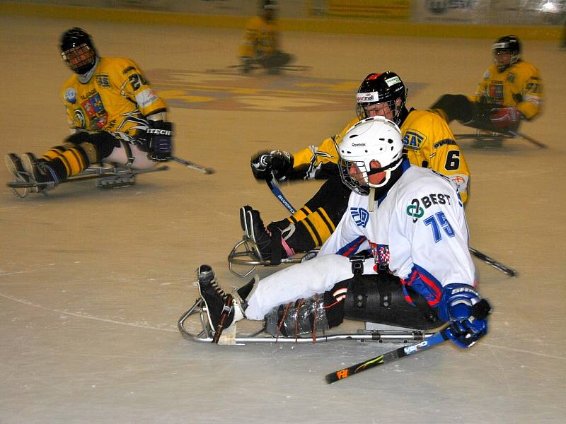 Turnaj ve sledge hokeji nabídl spousty zajímavých bitev. Domácí mužstvo skončilo na 2. místě. 