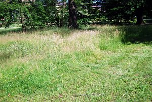 Vzrostlou trávu v Novém Jičíně pokosí nová sekačka. Ilustrační foto: archiv Deníku