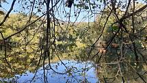 Atmosféra u oderských rybníků je v těchto podzimních dnech kouzelná.