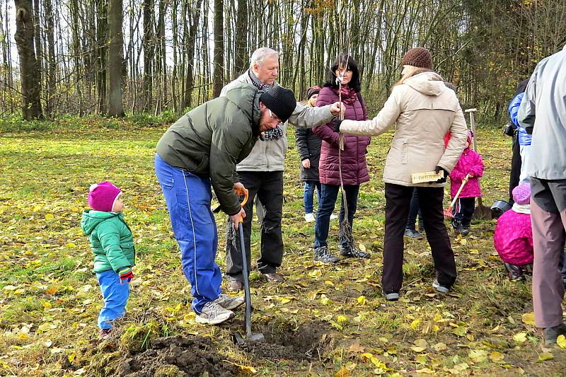 Ve Skotnici založili nadšenci sdílený ovocný sad.