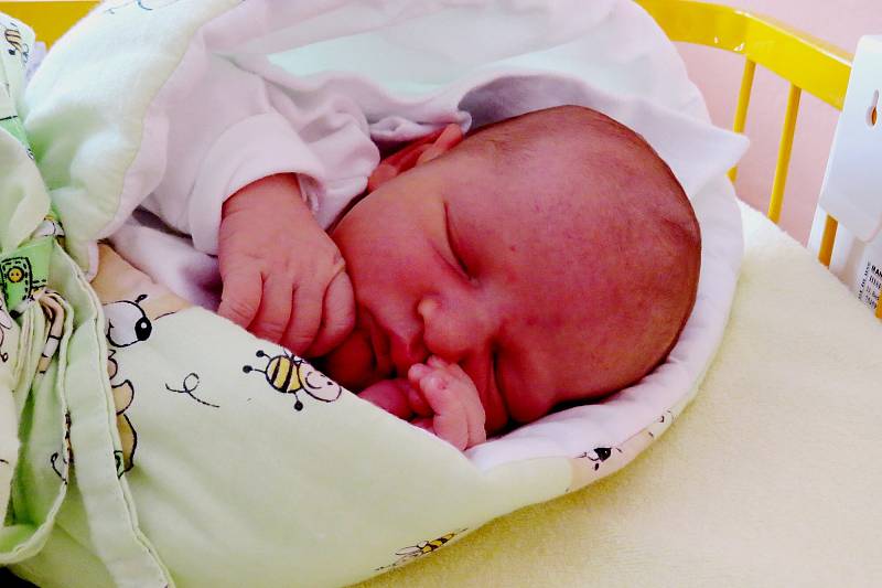 Eda Prašivka, Příbor-Hájov, nar. 8. 5. 2018, 50 cm, 3,82 kg. Nemocnice Nový Jičín.