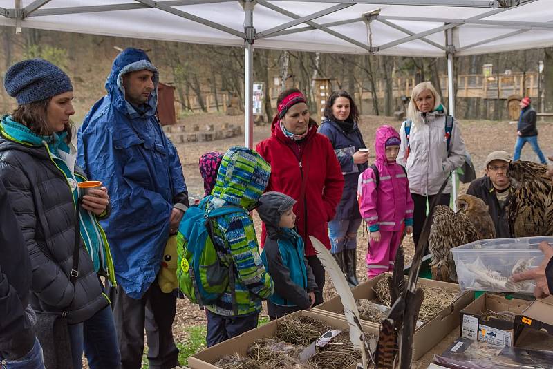 Loňské Vítání ptačího zpěvu na Horečkách na pomezí Trojanovic a Frenštátu pod Radhoštěm.