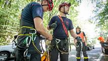 Dvě jednotky profesionálních hasičů se zapojily v pátek odpoledne do záchrany staršího paraglidisty, který místo na pevné zemi skončil v koruně mohutného stromu v Odrách na kopci Vítovka.