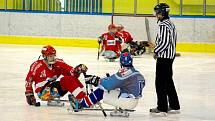 Ve Studénce se konal premiérový ročník sledge turnaje za účasti domácí Studénky, Olomouce, Českých Budějovic a Zlína. Na snímku zápas Olomouce s Českými Budějovicemi.