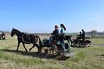 Stáj Davida Haitla z Bernartic nad Odrou pořádala o posledním březnovém víkendu letošního roku vozatajské zkoušky.