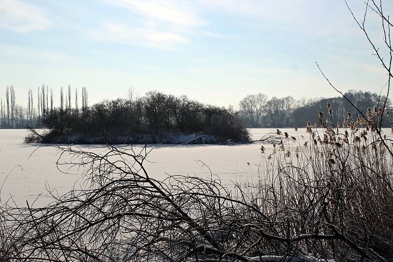 Mráz sevřel v noci z neděle na pondělí přírodu také na Odersku. 18. ledna 2021.