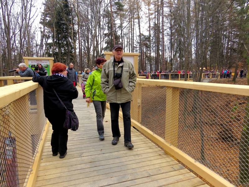 Nová naučná stezka Beskydské nebe – Život v korunách stromů o délce tří kilometrů, je novou atrakcí frenštátských Horeček.