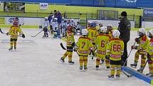 Zimní stadion ve Studénce  obsadili o víkendu mladí hokejisté, kteří soupeřili na mezinárodním turnaji v minihokeji dětí roč- níku narození 2004 až 2006 Studénka cup 2013.