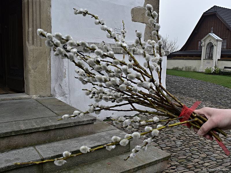 Prastarý zvyk - svěcení palem - obnovili a už dvanáct let dodržují v Příboře. Koná se vždy na Květnou neděli.