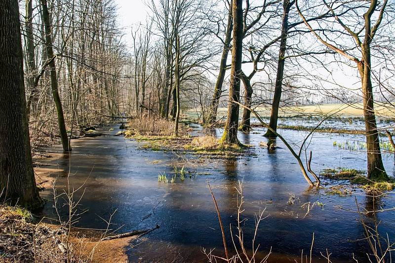 Jistebnické Rybníky a jejich okolí.