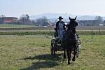 Stáj Davida Haitla z Bernartic nad Odrou pořádala o posledním březnovém víkendu letošního roku vozatajské zkoušky.