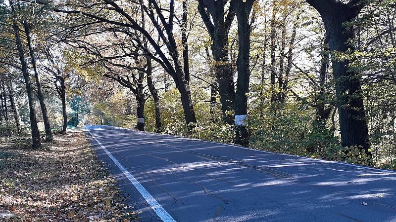 Atmosféra u oderských rybníků je v těchto podzimních dnech kouzelná.