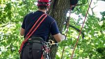 Dvě jednotky profesionálních hasičů se zapojily v pátek odpoledne do záchrany staršího paraglidisty, který místo na pevné zemi skončil v koruně mohutného stromu v Odrách na kopci Vítovka.