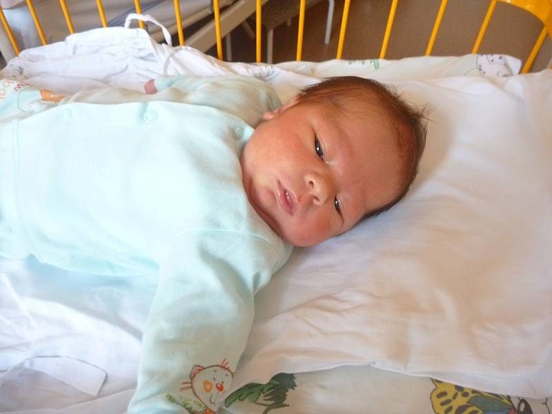 MICHAL MICHÁLEK, Libhošť, nar. 15. 11. 2013, 52 cm, 4,25 kg. Nemocnice Nový Jičín.