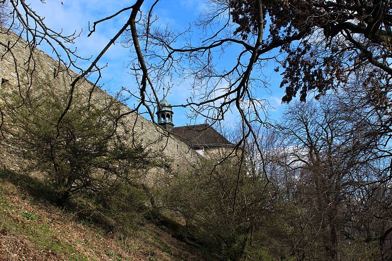 Hezké počasí vylákalo v neděli 4. dubna 2021 k procházce do obory a na hrad v Hukvaldech desítky lidí.