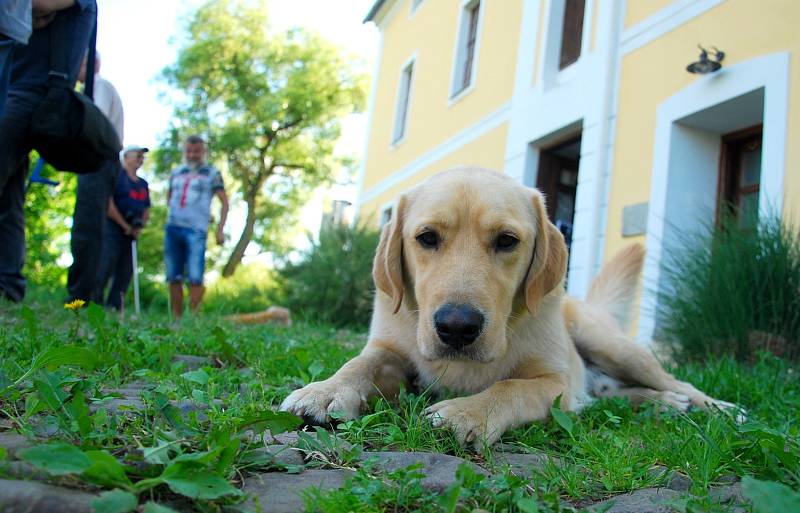 Malebné kulisy Bartošovického mlýna se staly výstavními prostory pestrých snímků Fotoklubu Příbor.