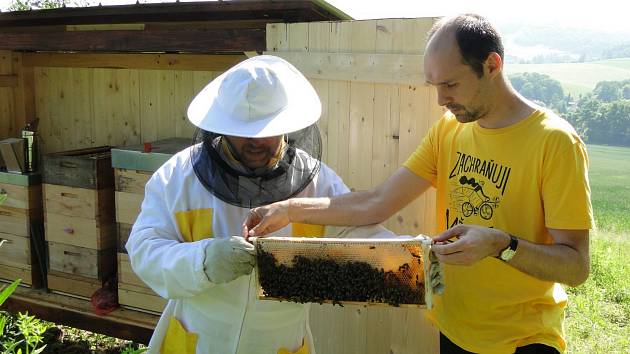 Místostarosta Ondřej Syrovátka pomáhá včelaři Jiřímu Schindlerovi, který se o radniční úly stará.