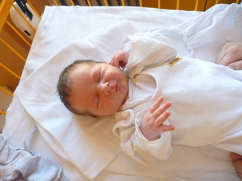 VÍT NEDĚLA, Šenov u Nového Jičína, nar. 16. 3. 2012, 54 cm, 4,18 kg, nemocnice Nový Jičín.