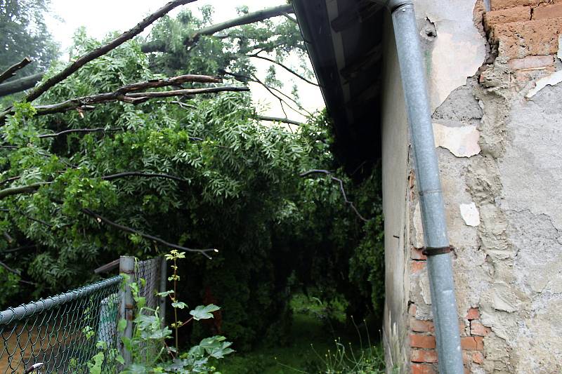 Stromy popadaly na dům pod svahem a s bahnem uzavřely průjezd silnicí z Lubiny na Mniší.