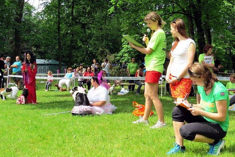 První ročník Královské voříškiády Sněženkového království se uskutečnil v sobotu 24. května v Sedlnicích.