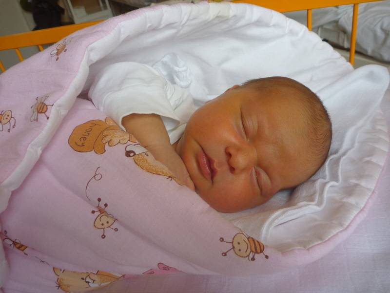 LADA DAŇHEL, Životice u Nového Jičína, nar. 12. 3. 2016, 48 cm, 3,58 kg. Nemocnice Nový Jičín.