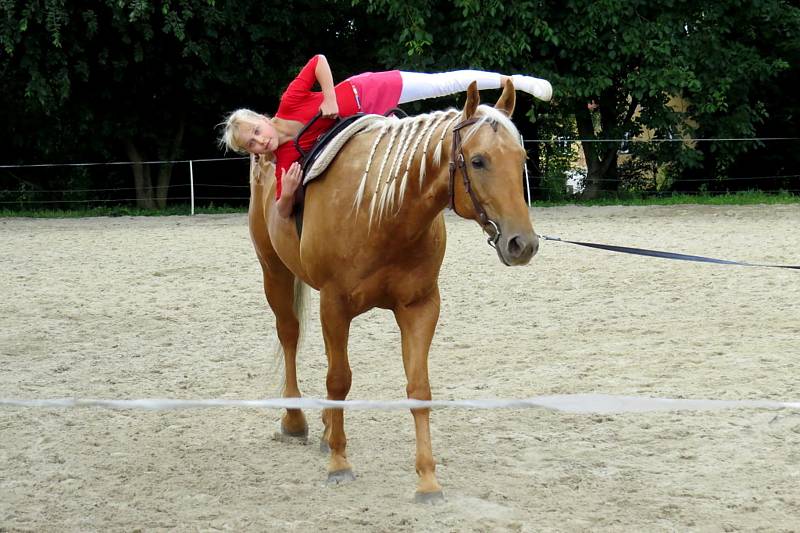 Country odpoledne u koní na Jarošově statku ve Studénce.