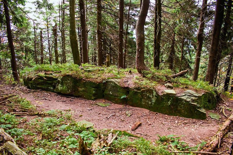 Okolí Čertova mlýna a Kněhyně nabízí pro turisty neokoukanou přírodu a skalní útvary i rarity.