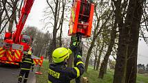 K bezpečnému pokácení nebezpečně nakloněného stromu si hasiči do Velkých Albrechtic povolali jeřáb.