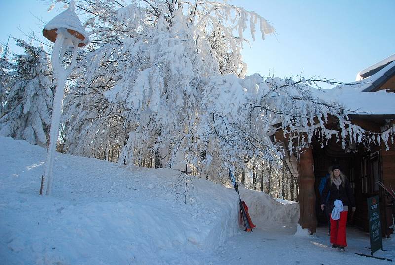 15. ročník Mistrovství světa v bobbingu se uskutečnilo na Pustevnách v sobotu 14. února.