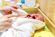 Loni se v novojičínské nemocnici narodilo o 27 dětí více než v předcházejícícm roce.