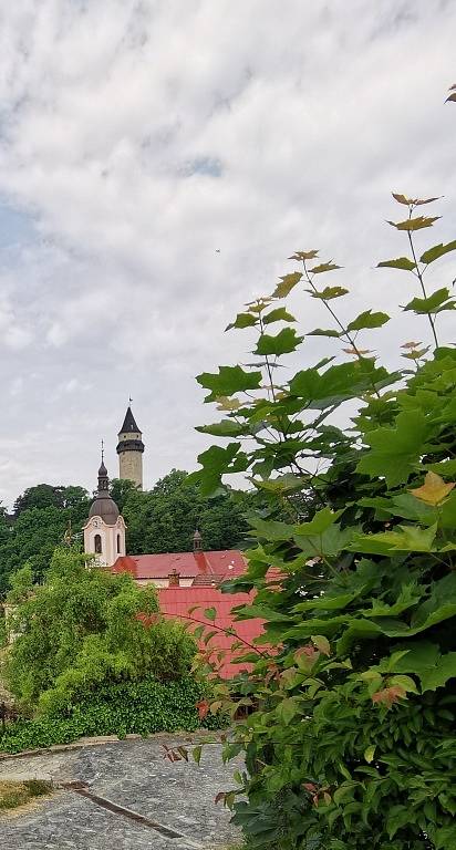 Arboretum ve Štramberku.