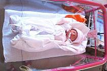 Prvnímu miminku narozenému na Novojičínsku v roce 2011 a jeho mamince přišli v úterý 4. ledna popřát do novojičínské nemocnice zástupci města i samotné nemocnice.
