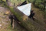 Odstraňování stromu spadlého na chatu v Bílovci-Staré vsi. 