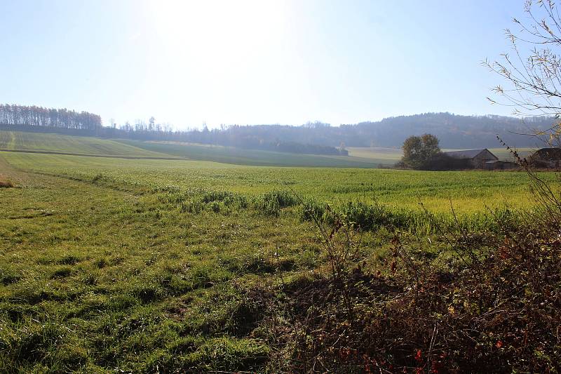 Pozemky navazující na stávající zástavbu v loklaitě Pod Skalkou prodalo město Nový Jičín developerovi. Sklízí za to kritiku. Listopad 2021.