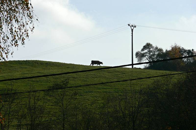 Obec Životice u Nového Jičína leží v údolí obklopená kopci.