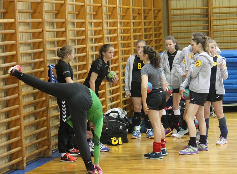 Premiérový ročník mezinárodního mládežnického turnaje Laudon Handball Cup v Novém Jičíně. 