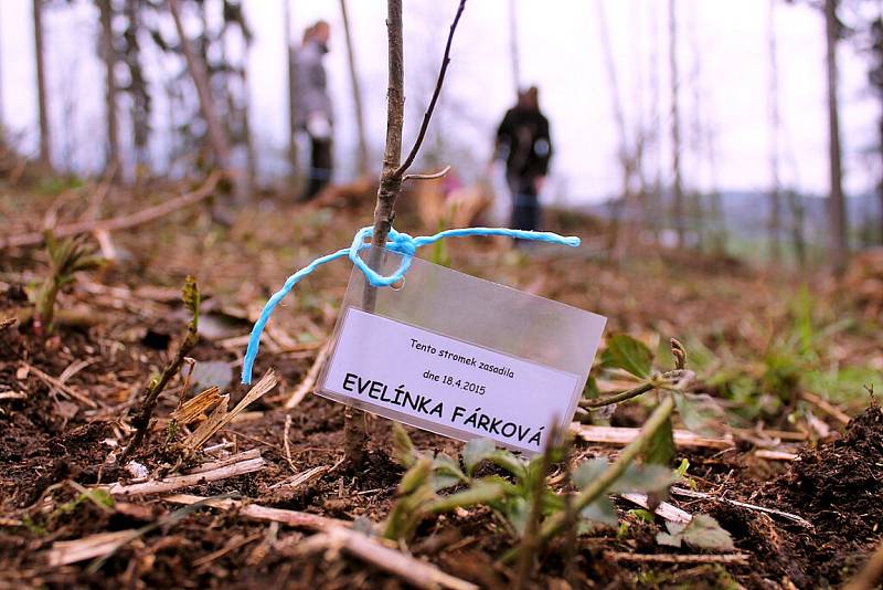 Akci, při níž lidé a strážníci vysadili tři tisíce stromků, zorganizovala o víkendu Městská policie Nový Jičín. Mělo to být něco jako poděkování fanouškům na Facebooku.