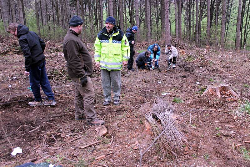 Akci, při níž lidé a strážníci vysadili tři tisíce stromků, zorganizovala o víkendu Městská policie Nový Jičín. Mělo to být něco jako poděkování fanouškům na Facebooku.