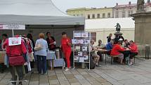 Šestadvacet poskytovatelů sociálních služeb se představilo ve středu na Masarykově náměstí v Novém Jičíně při akci Den sociálních služeb. 