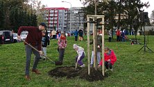 V novojičínské místní části Loučka v pátek odpoledne vysadili Strom svobody.