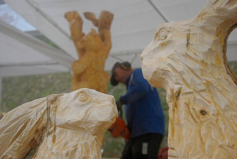 Pustevny patřily o víkendu dřevu, konkrétně třetímu ročníku řezbářského sympozia. Akce s názvem Dřevěné Pustevny 2017 byla parádní podívanou, při které mohli návštěvníci sledovat, jak vznikají jednotlivé sochy.