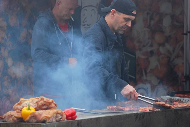 Pustevny patřily o víkendu dřevu, konkrétně třetímu ročníku řezbářského sympozia. Akce s názvem Dřevěné Pustevny 2017 byla parádní podívanou, při které mohli návštěvníci sledovat, jak vznikají jednotlivé sochy.