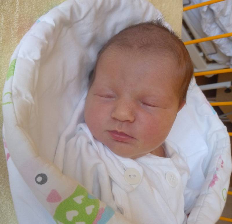 ELIŠKA VAŠÍČKOVÁ, Suchdol nad Odrou, nar. 18. 6. 2017, 46 cm, 2,99 kg. Nemocnice Nový Jičín.