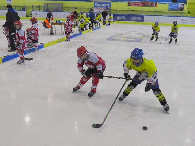 Zimní stadion ve Studénce  obsadili o víkendu mladí hokejisté, kteří soupeřili na mezinárodním turnaji v minihokeji dětí roč- níku narození 2004 až 2006 Studénka cup 2013.