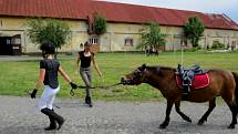 Country odpoledne u koní na Jarošově statku ve Studénce.